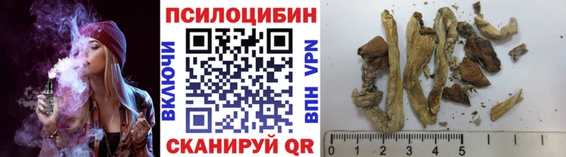 мега вход купить закладку Вологда Галлюциногенные грибы MAGIC MUSHROOMS